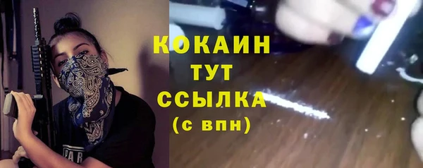 стаф Осташков