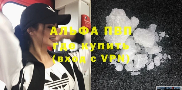 стаф Осташков
