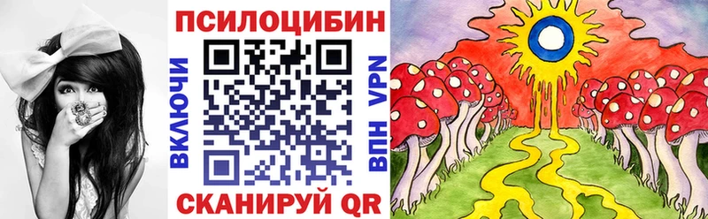 цена   Бирюч  Галлюциногенные грибы MAGIC MUSHROOMS 