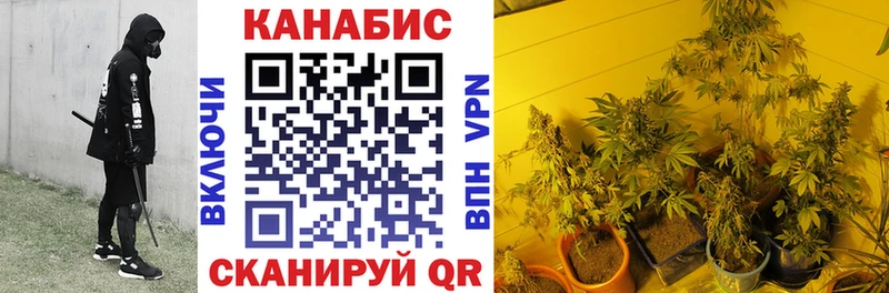 Марихуана THC 21%  Бирюч 